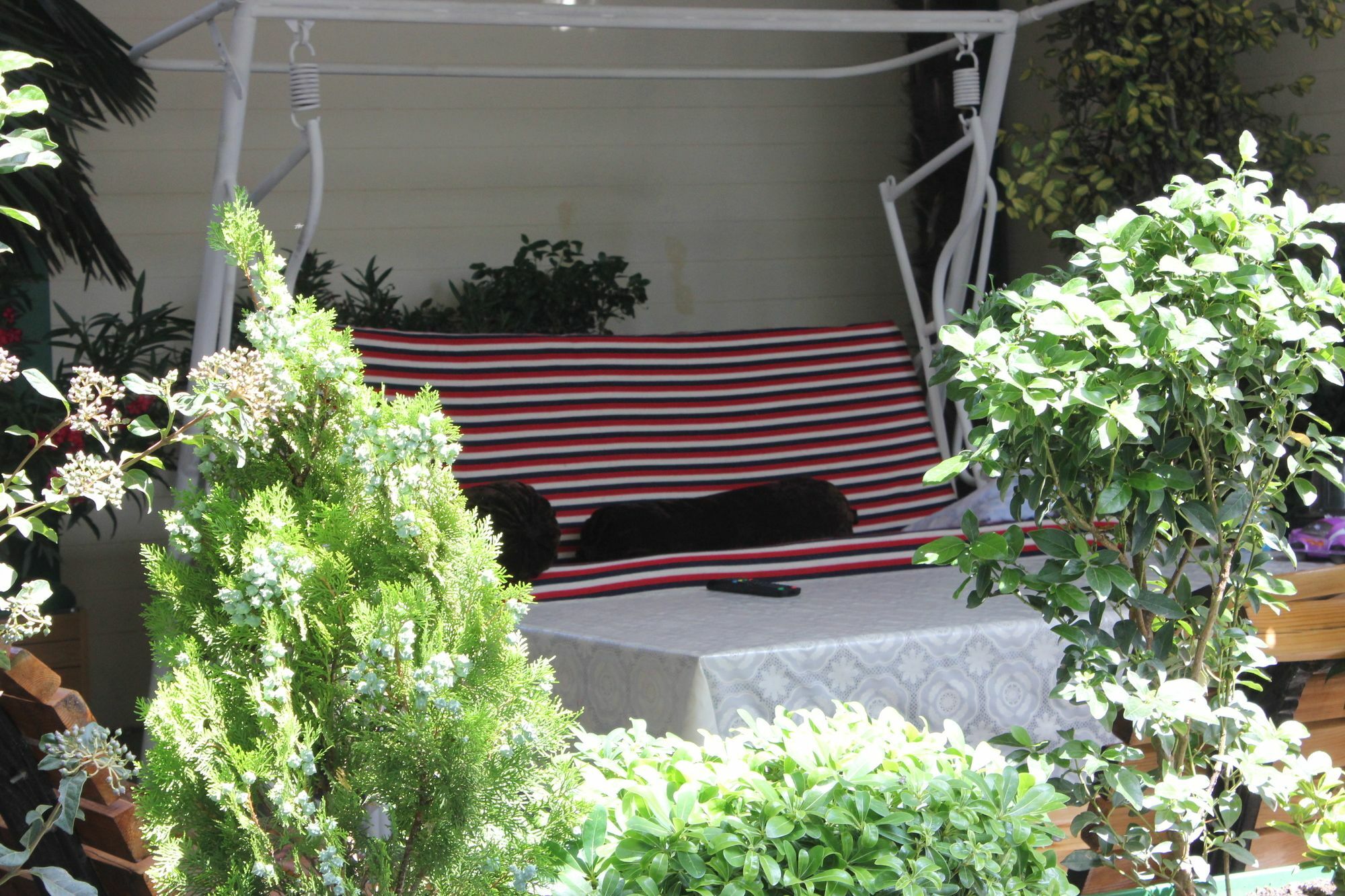 Vedzisi Garden Hotel Tbilisi Eksteriør billede